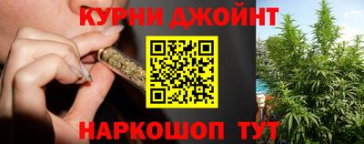 гашик Дубна