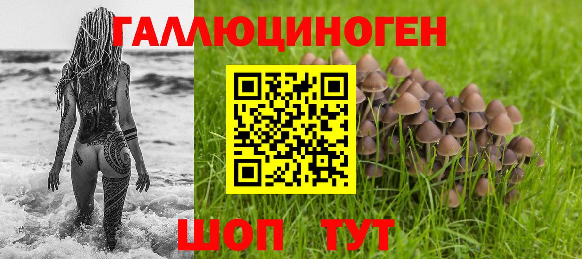 Псилоцибиновые грибы Cubensis  Вход с VPN  Минусинск 